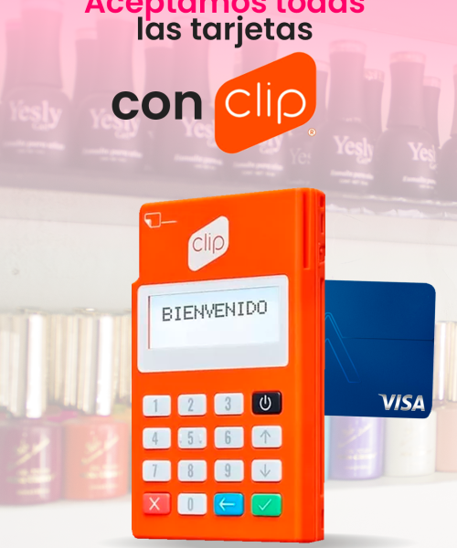 Portafolio clip si