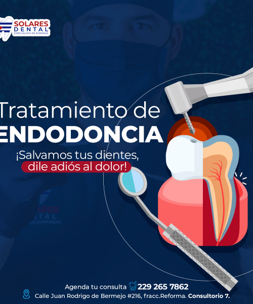 Portafolio endodoncia