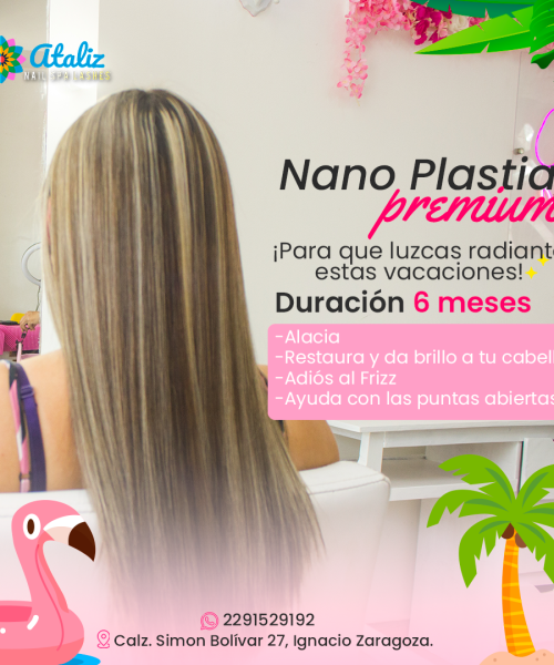 Portafolio nanoplastia veracruz